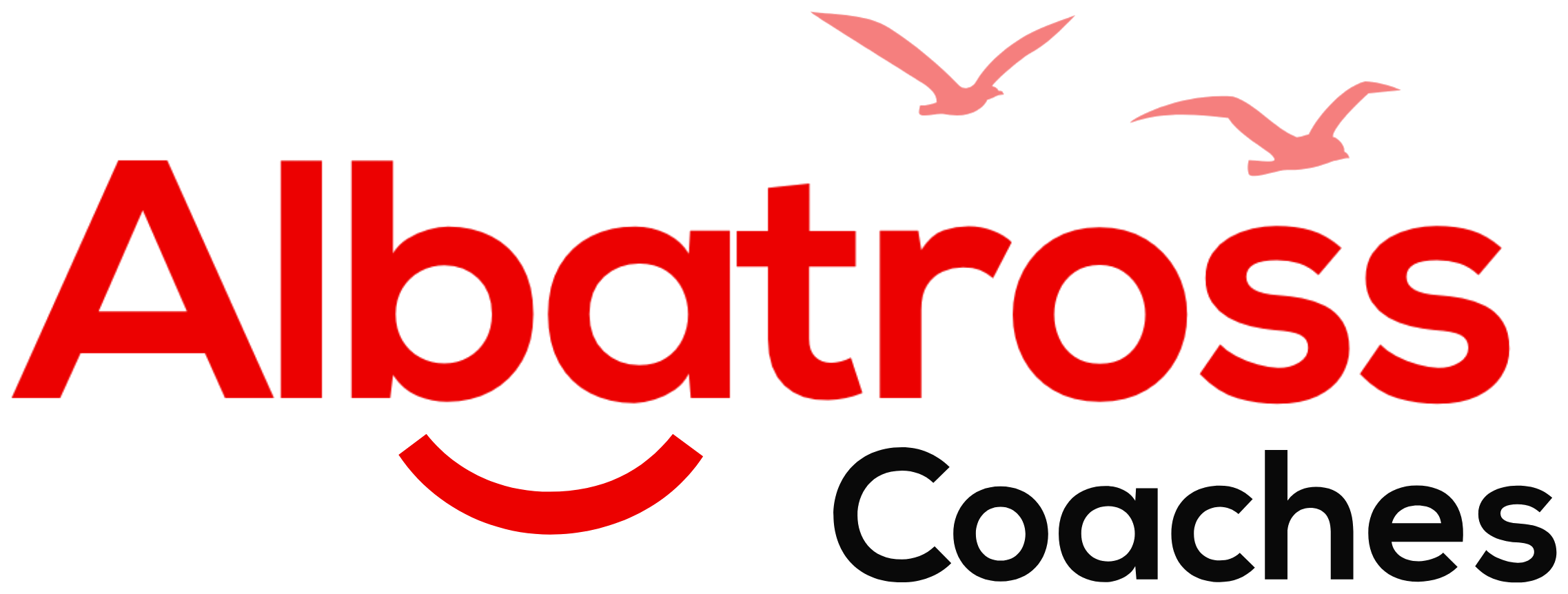 Albatross Coaches